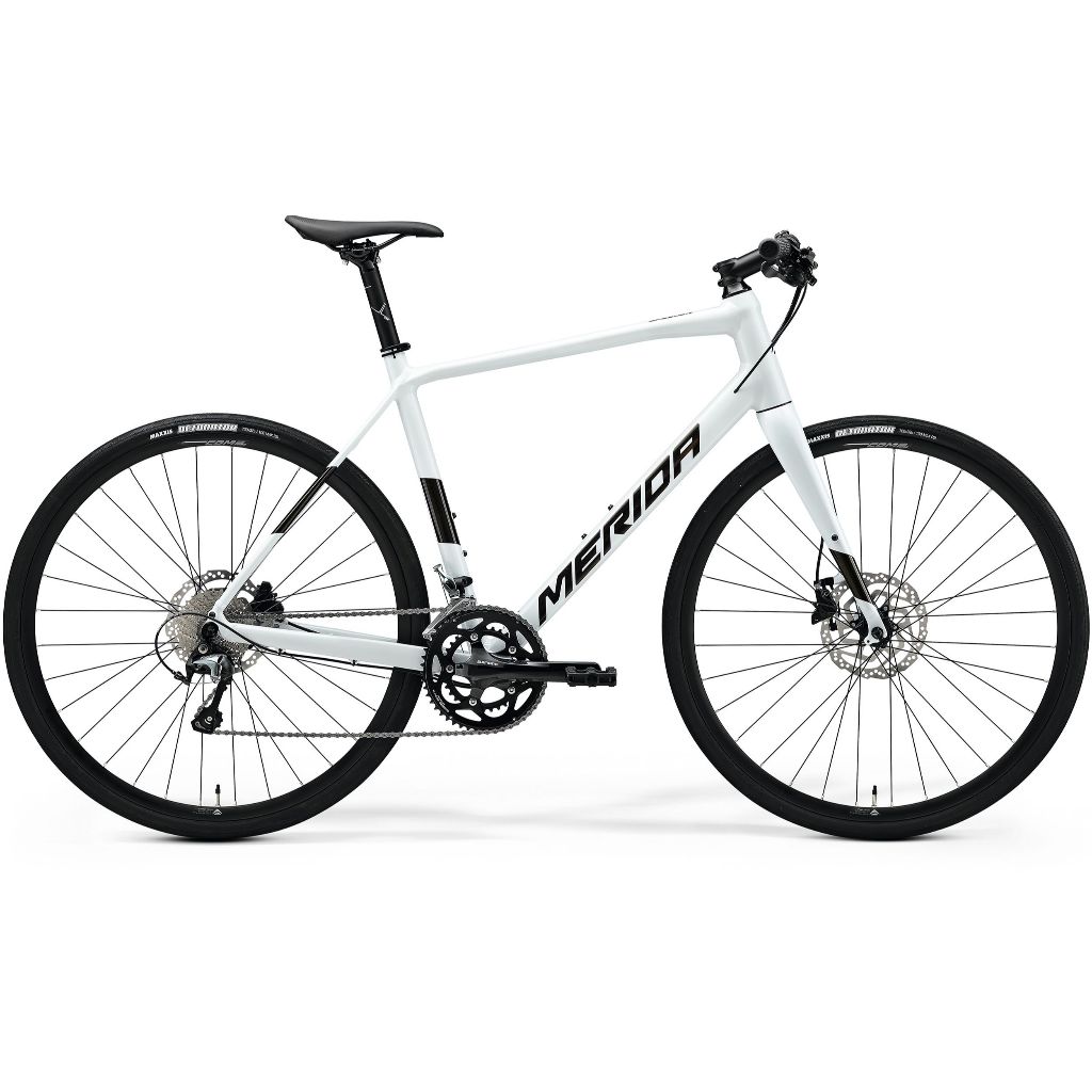 speeder 300 white